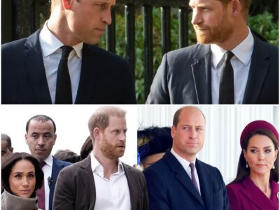 A Kingdom Divided: Prince William’s ‘Absolute Contempt’ Casts a Dark Shadow Over Prince Harry’s UK Return
